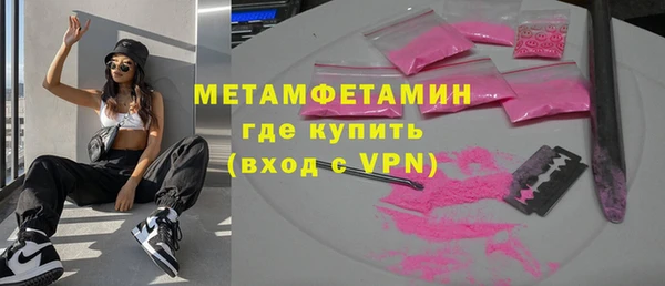 индика Инсар