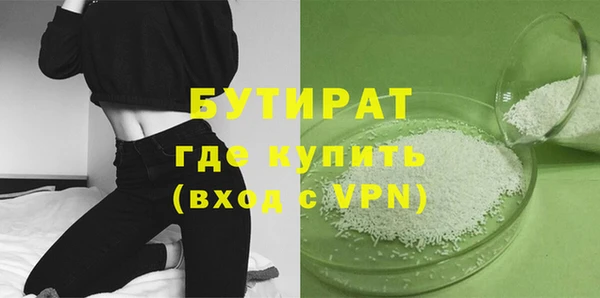 индика Инсар