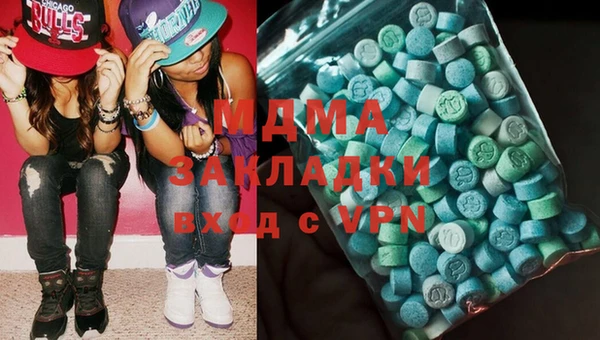 индика Инсар