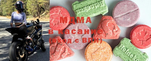 индика Инсар