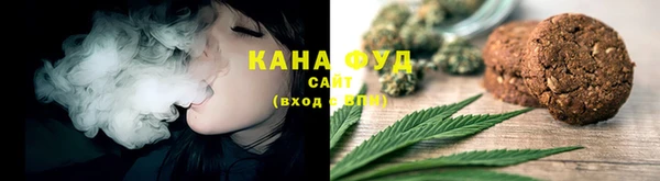 индика Инсар