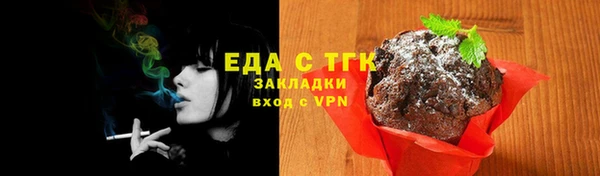 индика Инсар
