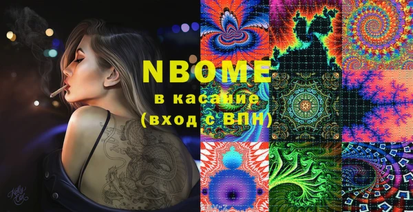 индика Инсар