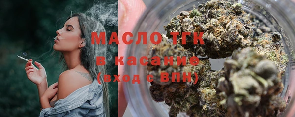 индика Инсар
