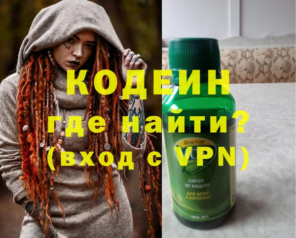 индика Инсар