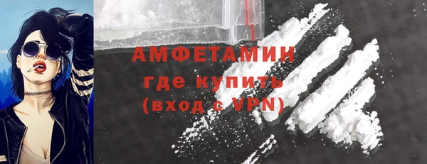индика Инсар