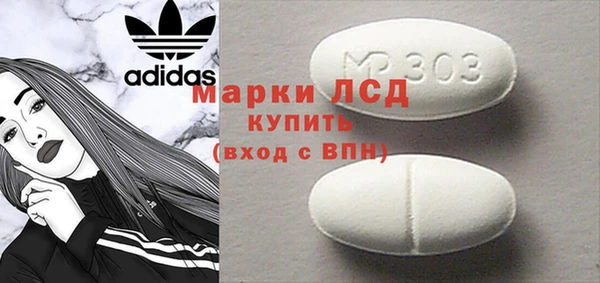 индика Инсар